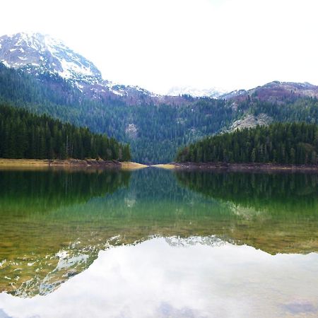 Guesthouse Zabljak Bagian luar foto