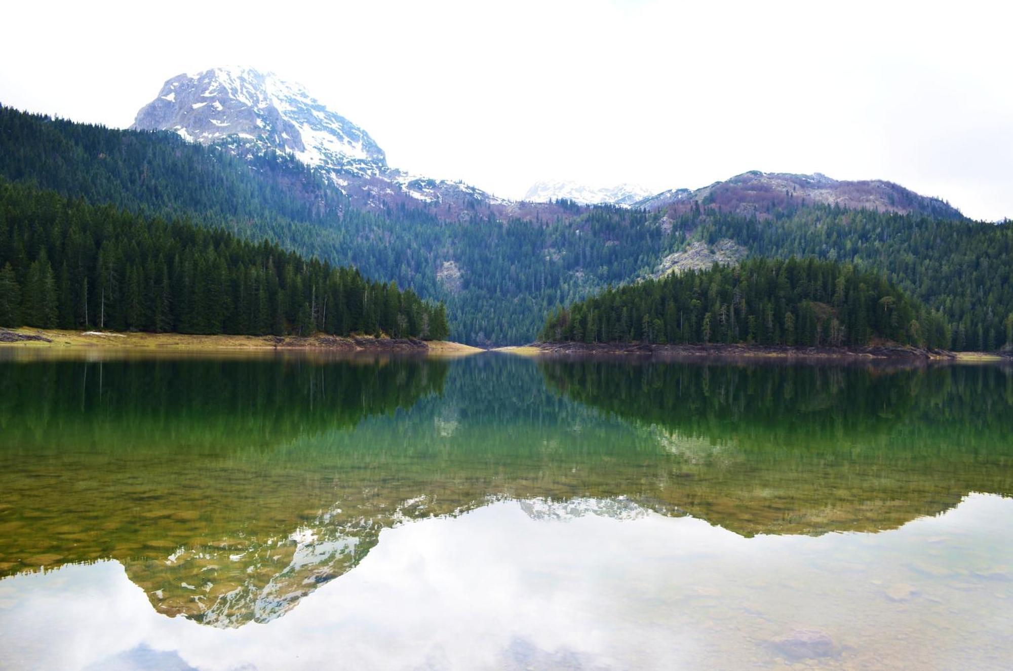 Guesthouse Zabljak Bagian luar foto